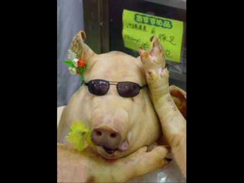 M.A. Numminen - Ferkel