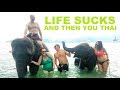Life Sucks And Then You Thai A Film Of Friends In Thailand