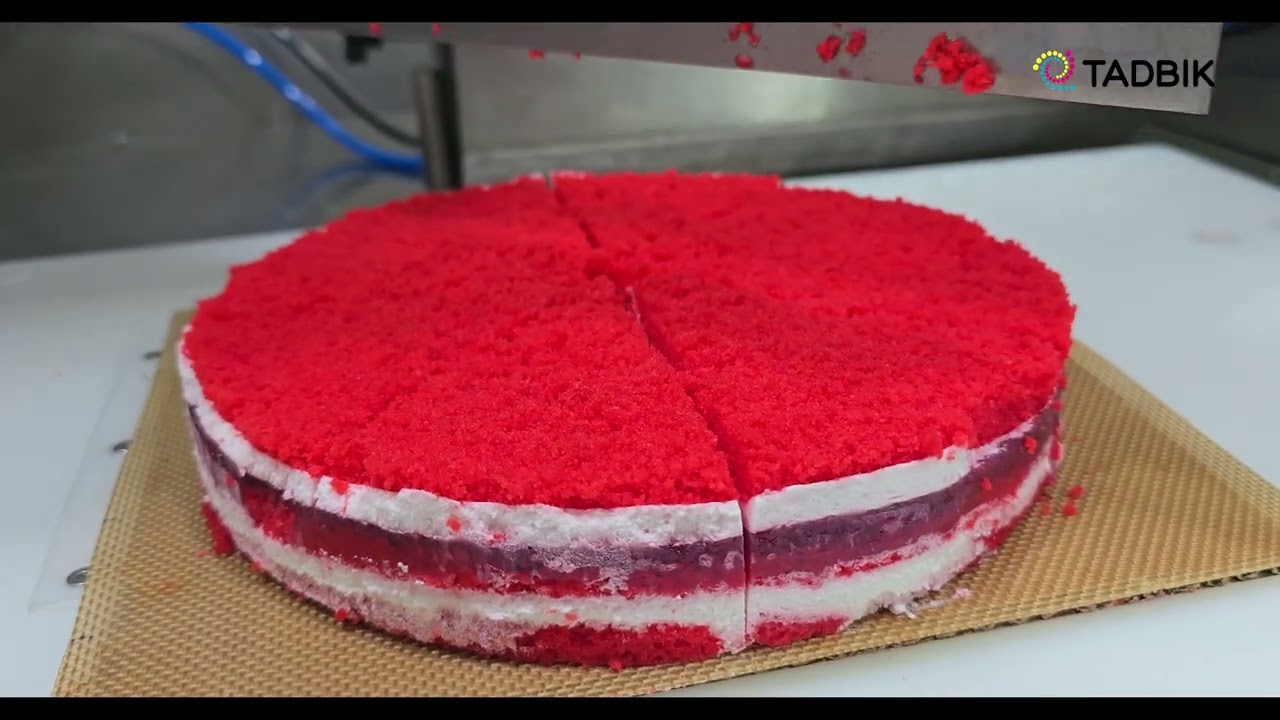 Automatic Industrial Ultrasonic Cake Cutting Machine - Square and Round Shapes