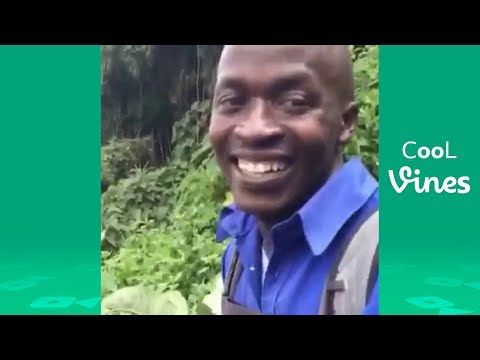 Funny Vines February 2018 (Part 1) TBT Vine compilation