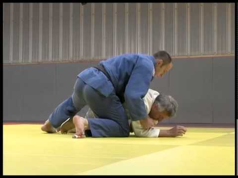 l'art et la maniere du judo au sol par Frédéric Demontfaucon et Jean-Pierre Gibert