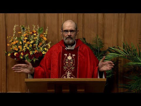 Catholic Mass Today | Daily TV Mass, Wednesday November 12, 2025