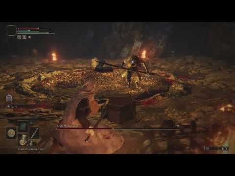 Base Astrologer Build vs Scaly Misbegotten