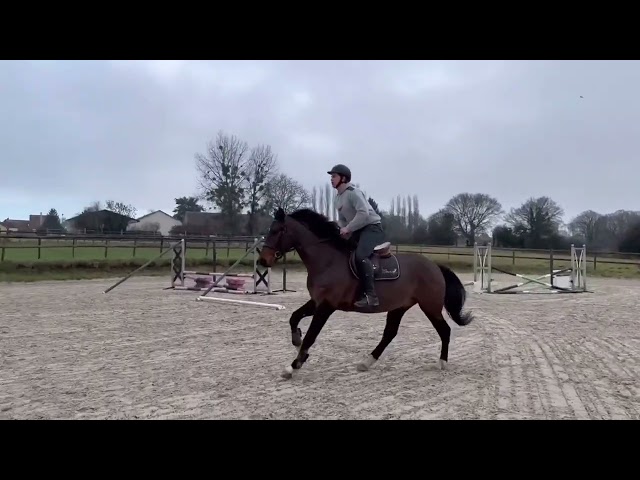 ✨ Magnum des Fontaines 