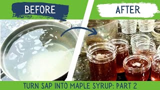 How to Make Maple Syrup at Home | Collecting, Boiling & Filtering Sap