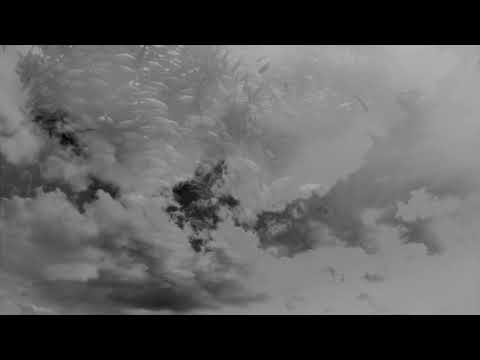 Mieke Miami - Californio