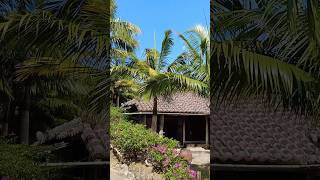 沖縄好きすぎる🌴