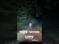 ताम्हिणी घटातला आमच्या सोबत घडलेला थ�