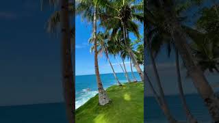 Download lagu wong jowo#dolananyuk #healing #barengteman mp3