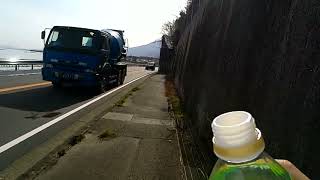 高島市から琵琶湖の周りを歩きながら白髭神社まで歩く。パート10