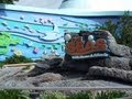 The Seas With Nemo And Friends At Epcot Walt Disney World HDThrillSeeker