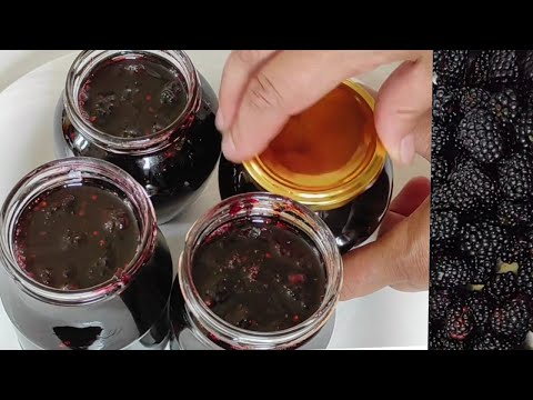 SLATKO OD KUPINA - Kako napraviti slatko od kupina, spremno za 20 minuta! #339