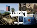 Lpu Mini Vlog Lovely Professional University No Lie Dua Lipa WhatsApp Status TikTok Remix