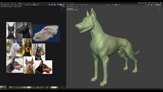 Sculpt a Doberman in Blender -  Part 3