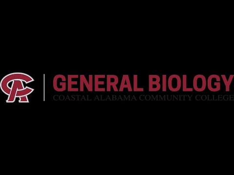 BIO 101 - Chapter 5 - Energy and Life