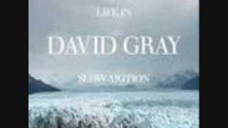 David Gray Lately