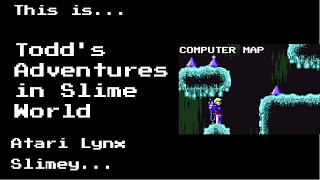 This is Todd's Adventures in Slime World