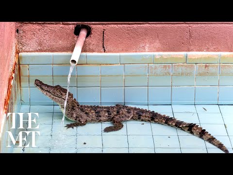 An Evening with Lauren Groff and Anastasia Samoylova