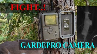Fight Caught on Camera, GardePro Camera