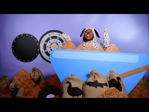 Wellness Core Food Dog | Chewy