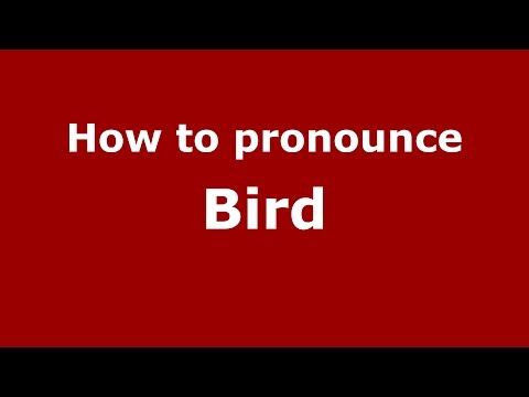 How to pronounce Bird