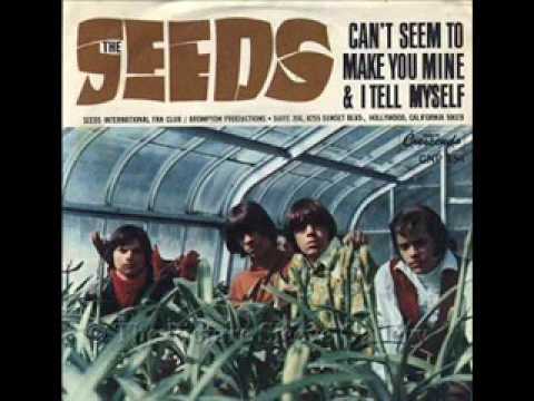 The Seeds - Can't Seem to Make You Mine - Lynx Bullet Advert Song