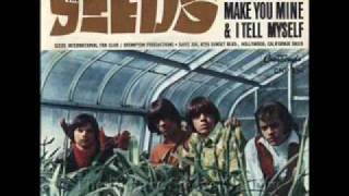 The Seeds - Can&#39;t Seem to Make You Mine - Lynx Bullet Advert Song