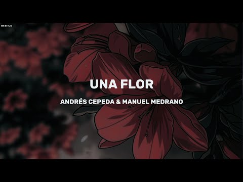 Andrés Cepeda & Manuel Medrano - Una Flor (Letra)