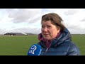Tachtigduizend kippen hebben huisarrest.