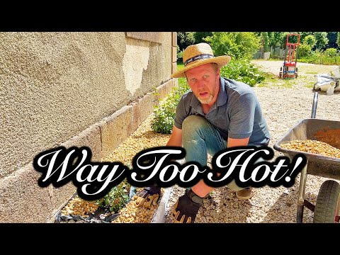 It's Just Too Hot !  - Chateau Life 🏰 EP 212