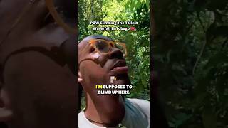 Argyle Falls adventure: hiking to the tallest waterfall in Tobago