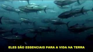 O FIM DA LINHA (legendado)