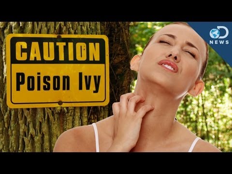 Poison Ivy Will DESTROY You