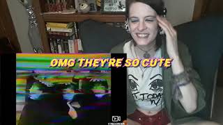 SHONEN KNIFE FAN REACTS TO KAPPA EX RARE HOME VIDEO