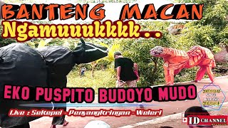 Download lagu BANTENG MACAN NGAMUKK EKO PUSPITO BUDOYO MUDO LIVE... mp3