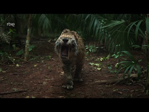 Los últimos secretos de la humanidad | Documental prehistoria | DOCUMENTAL HD