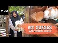 Hobi Menghasilkan Ibu Rumah Tangga Hasilkan 8jt Perbulan Dari Ternak Kelinci IRT HEBAT