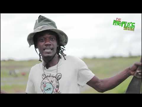 Faybo Dan & Jules FrassDan “Food & Weed” 2025