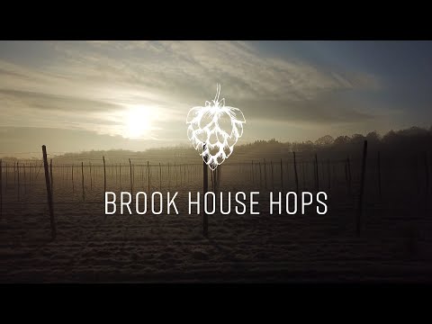 Brook House Hops A hop farm with a rich history [SHORT]