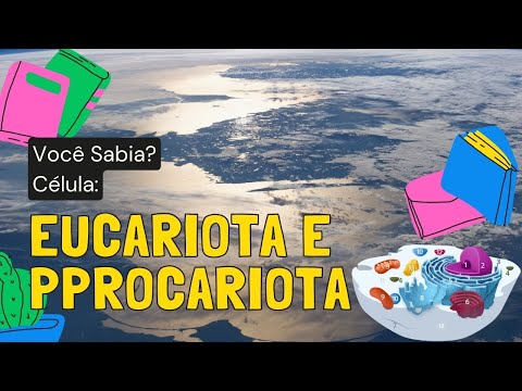CÉLULAS EUCARIONTES E PROCARIONTES (TIPOS CELULARES)