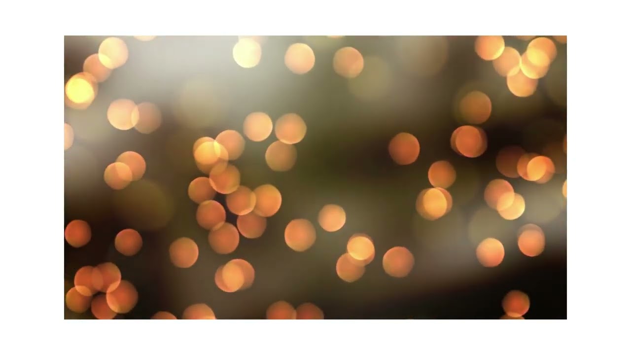 Raquel Do Prado Xavier-18