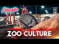 ZOO CULTURE ▪ Los Angeles - Bodybuilder, Powerlifter o Strongman?