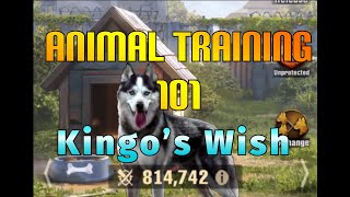 The Walking Dead Survivors: Animal Training 101-Kingo&#39;s Wish