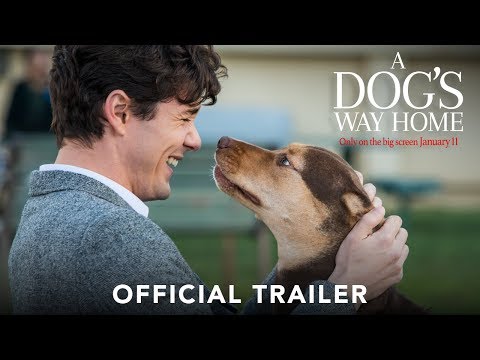 A Dog's Way Home (2019) Official Trailer