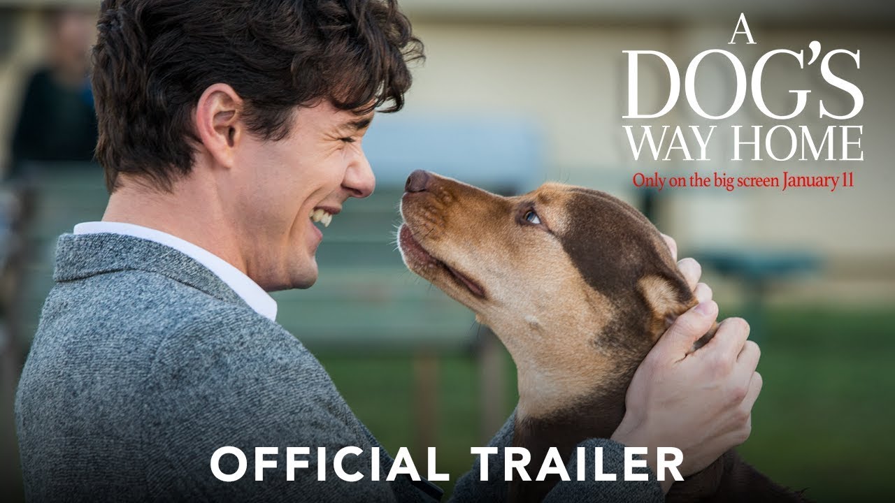 A DOG'S WAY HOME - Official Trailer (HD)