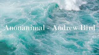 Anonanimal - Andrew Bird