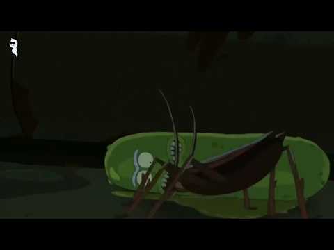 Rick and Morty | Pickle Rick in drain killing bunch of rats scene