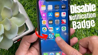 How to Disable Red Notification Badge from App Icons on iPhone