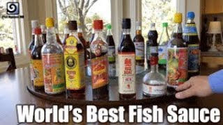 World's Best Fish Sauce Taste Test! - Thử xem nước mắm nào ngon nhất thế giới