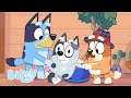 Der Übernachtungsgast Ganze Folge Bluey Deutsch Offizieller Kanal
